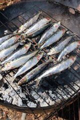 Fresh sardines arranged on a charcoal grill over glowing charcoal, ready for grilling. The silver-blue fish display their natural scales and distinctive features, with crushed charcoal visible beneath © Pedro