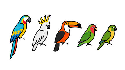 Obraz premium Colorful Cartoon Tropical Birds Collection Isolated