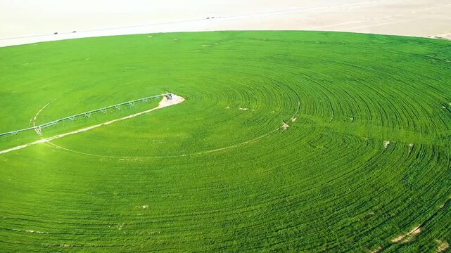 Drone flyover of a green circular field with center pivot irrigation in the Iraqi desert
