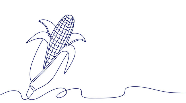Line art illustration of a ripe corn cob and husk, a food that meets daily nutritional needs