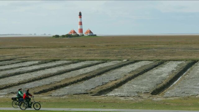 Zoom, zoom out, cyclist, ewe and lamb in front of the Westerhever lighthouse, North Sea coast, Schleswig-Holstein, Germany