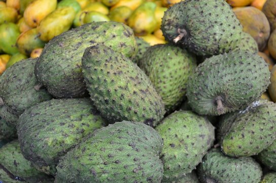 Fresh soursop fruits pile at traditional local market
