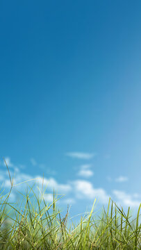 A close-up view of fresh green grass against a vibrant blue sky with soft white clouds, symbolizing nature, growth, and freedom. Nature, natural, or quotes background