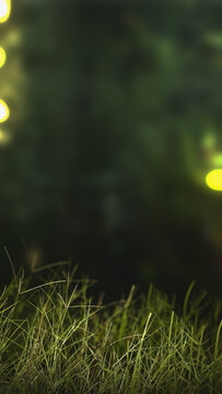 Green grass against dark moody background with glowing bokeh lights creating mysterious magical atmosphere with natural lighting and soft focus effect. Nature, natural, or quotes background