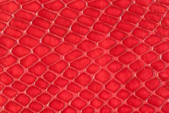 Red Snake Skin Patterned Leather Texture Surface