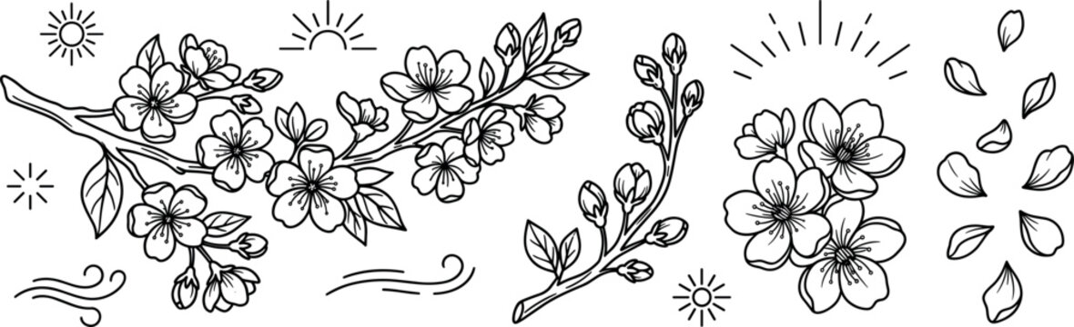 Beautiful cherry blossom sakura branch line art vector elements set with flower buds falling petals sun and wind
