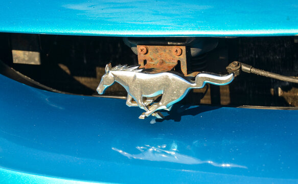 Close-up shot of a chrome Ford Mustang galloping pony emblem mounted inside the front grille opening of a bright blue car