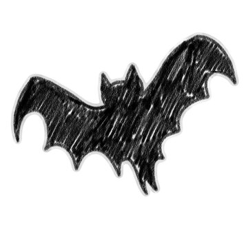 hand-drawn sketch art of  bat