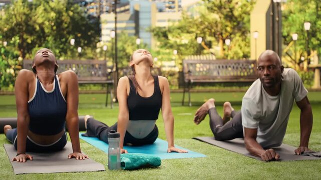 Participants in yoga class hold cobra pose while tilting heads for neck stretch, practicing flexibility together on mats in city park during outdoor backbend Pilates and stretching exercise.