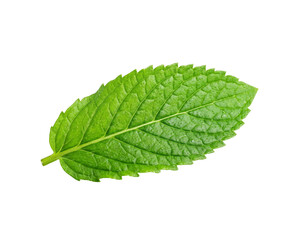 Fresh Green Mint Leaf Isolated on Transparent Background © pnghubs