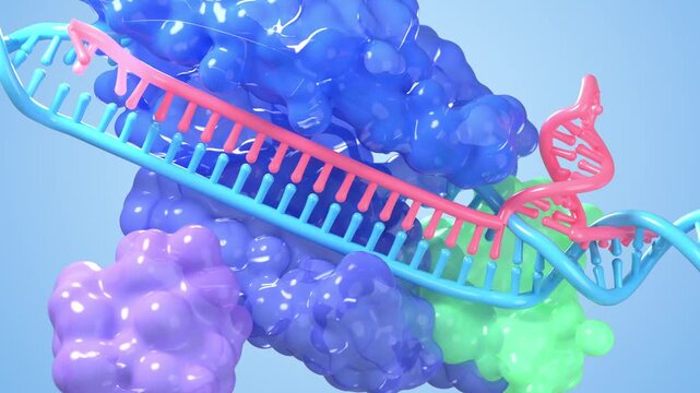 CRISPR and Cas9 gene editing repairs DNA, 3D animation for gene therapy and future medicine