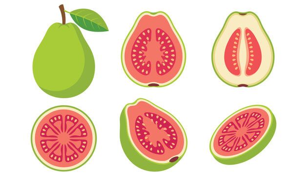 Fresh pink guava fruit vector element set featuring whole fruit with leaf slices halves and cross sections.