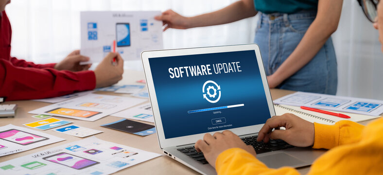 Software update on computer for brisk version of device software upgrade
