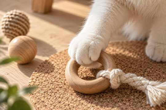 Close up of cat enrichment corner with natural wood toys