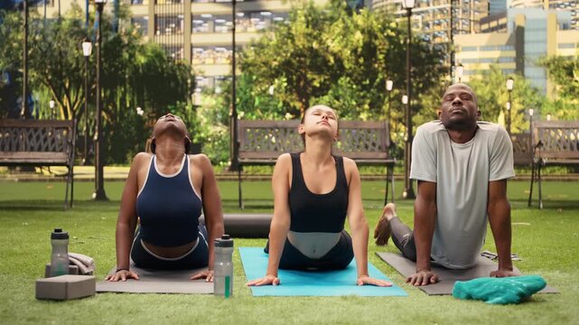 Yoga class participants hold cobra pose while tilting their heads for a neck stretch, practicing flexibility together on mats in an urban park.