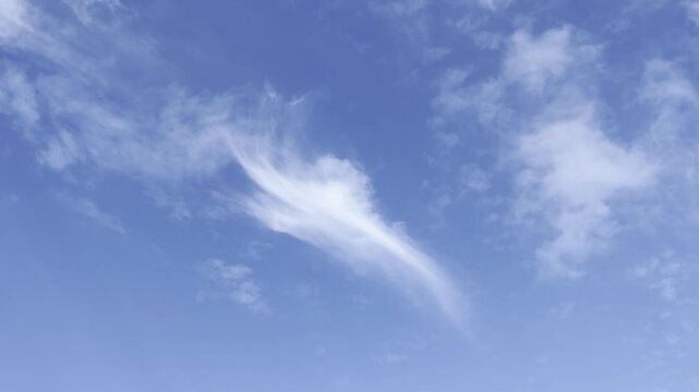 Cumulus and cirrus clouds in the sky. City of Honolulu, Oahu island, Hawaii.	clouds cover about 67 percent of Earth's surface.
