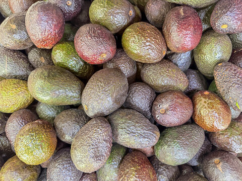 Pile of Fresh Whole Avocados at Mexican Market &ndash; Tropical Fruit Food Background Closeup