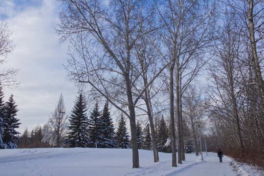 Winter scenery at Gold Bar Park