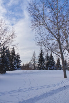 Winter scenery at Gold Bar Park