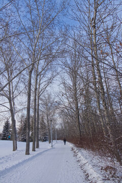 Winter scenery at Gold Bar Park