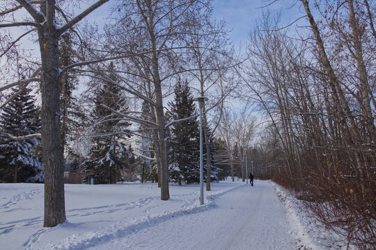 Winter scenery at Gold Bar Park