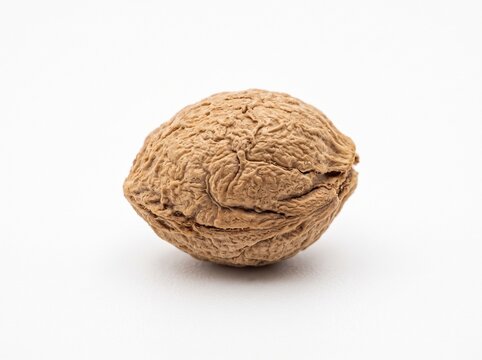 A single whole brown walnut with a rough textured shell sits in a horizontal orientation