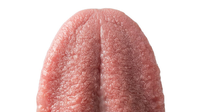 Close up of human tongue tip isolated on transparent background