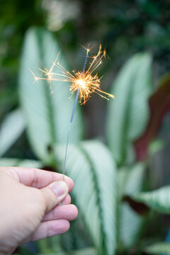Hand holding glowing sparkler with bright flame and spark brings joy and light near green leaf plant in garden during outdoor summer celebration full of warmth