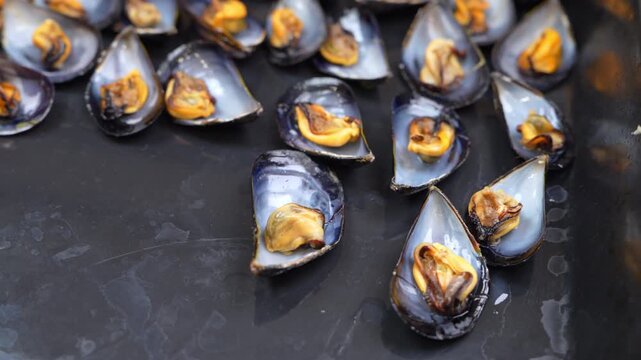 Empty and meat filled half shells of steamed mussels lie scattered on a wet dark metal surface after a meal, a moment of leftover waste from a shellfish dinner.