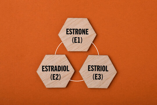 Wooden blocks show the three major estrogen hormones, estrone, estradiol, and estriol, with E1, E2, and E3 labels arranged in a connected diagram.