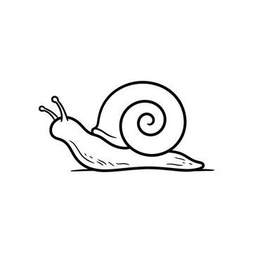 Minimalist snail outline illustration with spiral shell and antennae provides cute garden animal vector for educational materials and children nature coloring book.