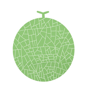 Whole green muskmelon fruit illustration with hand drawn crayon texture on isolated black background