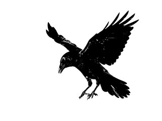 Fototapeta premium Black raven in flight silhouette graphic, flying crow bird vector icon, gothic raven art illustration for halloween design