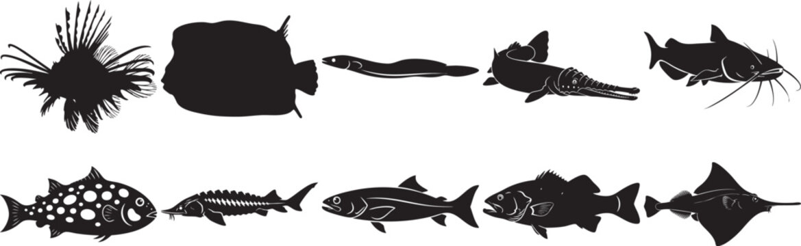 Various fish icons and silhouettes for marine design with silhouette wildlife swimming isolated underwater creature lionfish