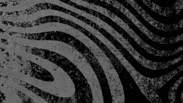 Organic monochrome lines twist and flow across a dark surface, blending chalk-like grain and weathered textures into a bold, mesmerizing abstract animation.
