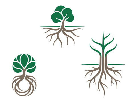 Set of stylized trees with visible root systems as a vector graphic illustration isolated environment structure abstract forestry
