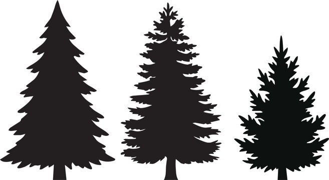 Pine Tree Silhouette Icon Set with Solid Black Evergreen Forest Symbols