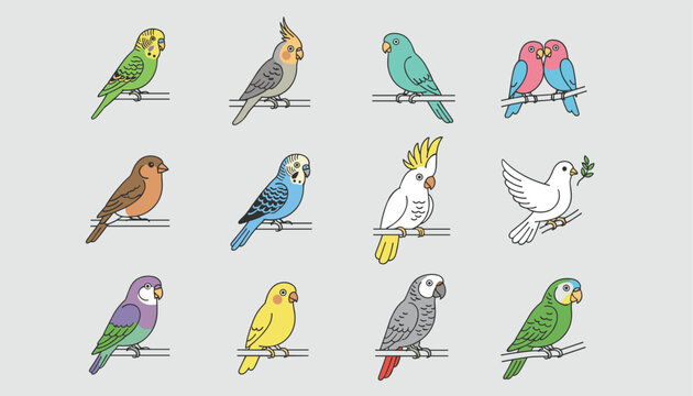 Colorful set of twelve illustrated pet birds and parrots including parakeet dove cockatiel and lovebirds on branches.