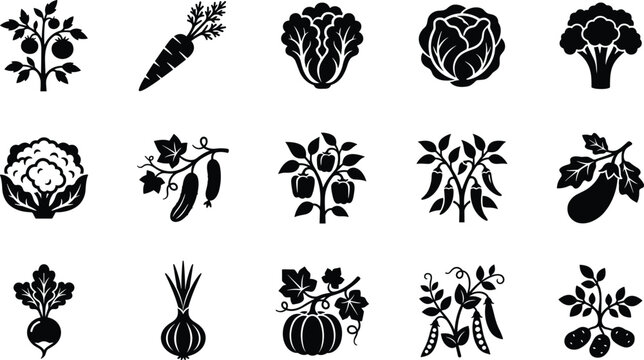 Set of black silhouette icons representing fresh garden vegetables and healthy organic food crops for design