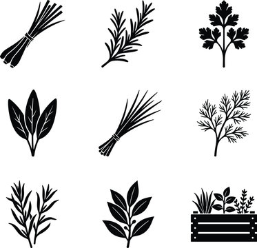 Set of black silhouette icons featuring various fresh kitchen herbs and culinary plants on white background