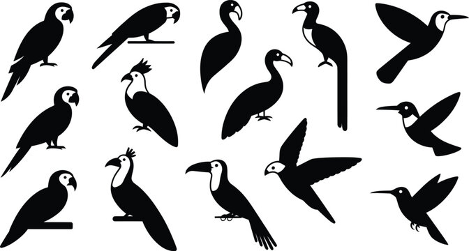 Collection of black silhouettes of various exotic tropical birds including parrots and hummingbirds set