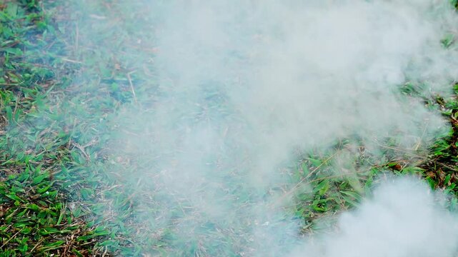Low lying white fog spreading over green grass field background