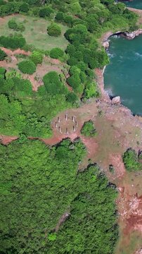 Aerial view stone circle in clearing, drone shot shows standing pillars forming circular foundation amid dense tropical trees and red soil, archaeologist team mapping site, Bali, Vertical video