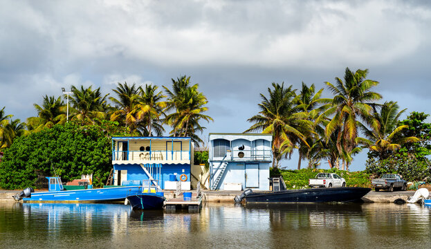 Boats docked along the harbor with colorful coastal cabins and palm trees at Port de la Desirade in Guadeloupe.