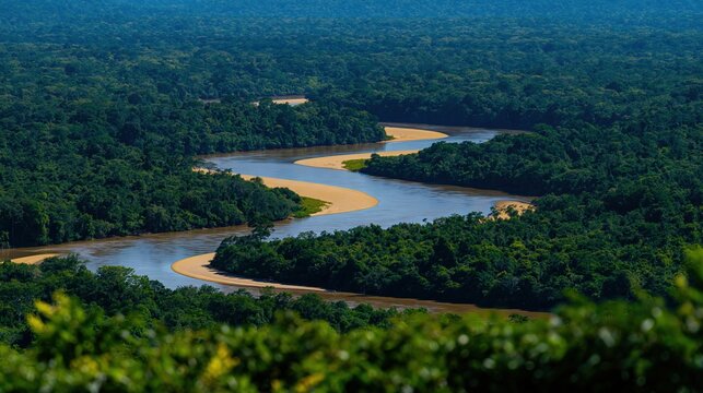 Winding river meandering through a dense forest canopy, featuring a serene s-curve landscape for ecology and conservation storytelling