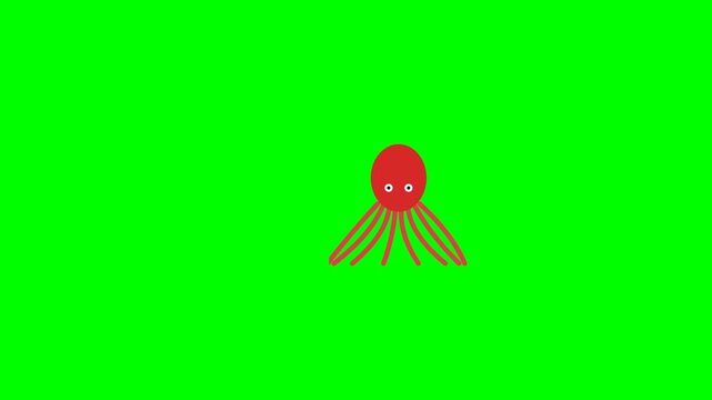 octopus swimming with moving tentacles on green screen background chroma key 4k motion graphics