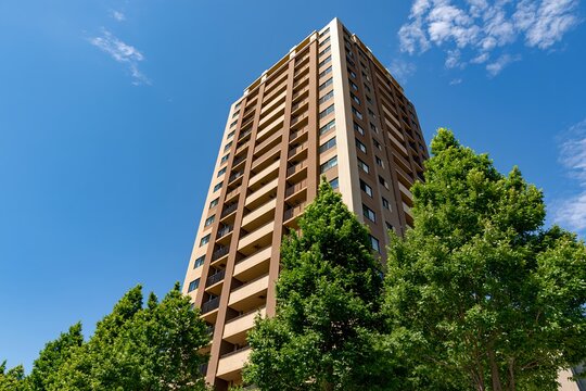 明るい青空と緑の木々が映える高層マンションの建物