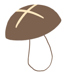 Mushroom © AFTER