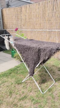 Drying and airing out woolens in the yard on a sunny day