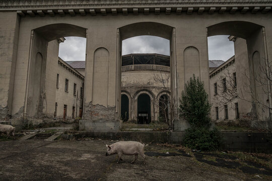 Abandoned sanatorium in Tskaltubo, Georgia, where elegant classical architecture stands as a relic of economic decline and post-Soviet change.
